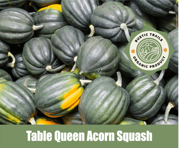 Table Queen Acorn Squash Cucurbita pepo